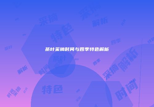 茶叶采摘时间与四季特色解析