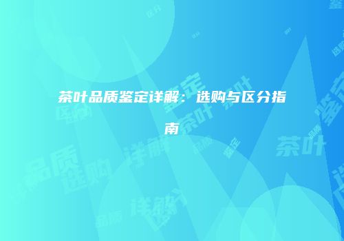 茶叶品质鉴定详解：选购与区分指南