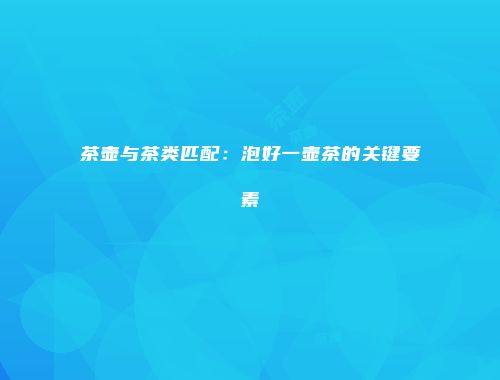 茶壶与茶类匹配：泡好一壶茶的关键要素