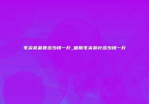 毛尖茶最贵多少钱一斤_信阳毛尖茶叶多少钱一斤