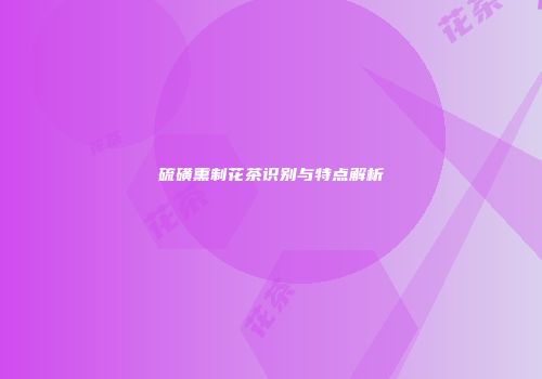 硫磺熏制花茶识别与特点解析