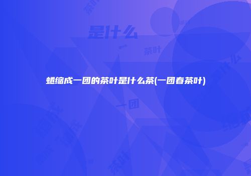 蜷缩成一团的茶叶是什么茶(一团春茶叶)