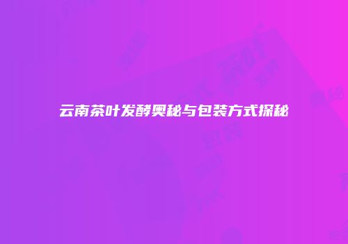 云南茶叶发酵奥秘与包装方式探秘