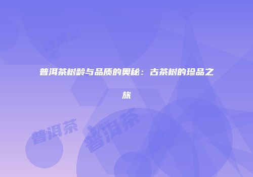 普洱茶树龄与品质的奥秘：古茶树的珍品之旅
