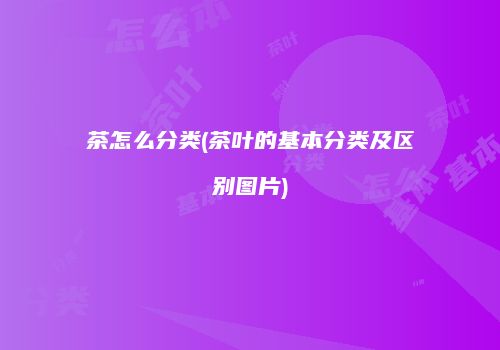 茶怎么分类(茶叶的基本分类及区别图片)