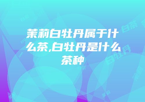 茉莉白牡丹属于什么茶,白牡丹是什么茶种