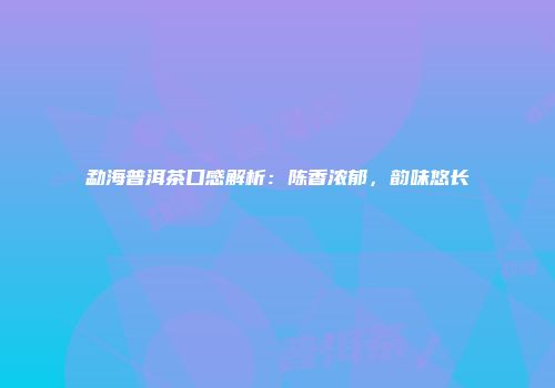 勐海普洱茶口感解析：陈香浓郁，韵味悠长