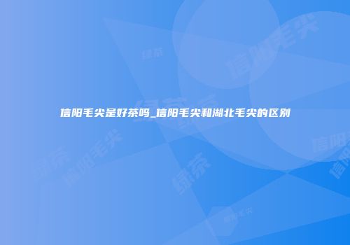 信阳毛尖是好茶吗_信阳毛尖和湖北毛尖的区别