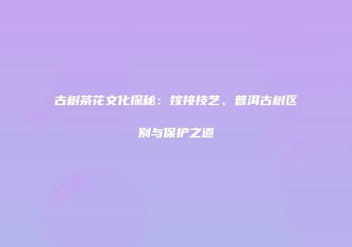 古树茶花文化探秘：嫁接技艺、普洱古树区别与保护之道