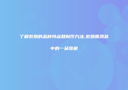了解紫娟的品种特点和制作方法,紫娟普洱茶中的一朵奇葩