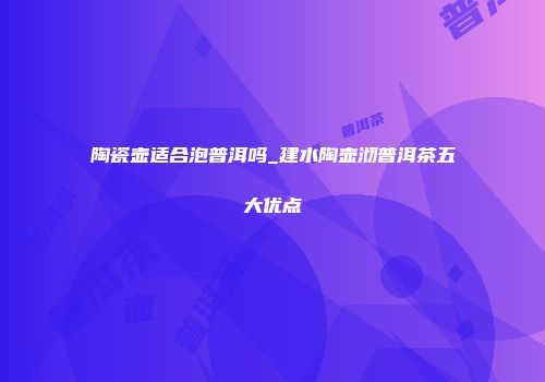 陶瓷壶适合泡普洱吗_建水陶壶沏普洱茶五大优点