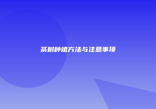 茶树种植方法与注意事项