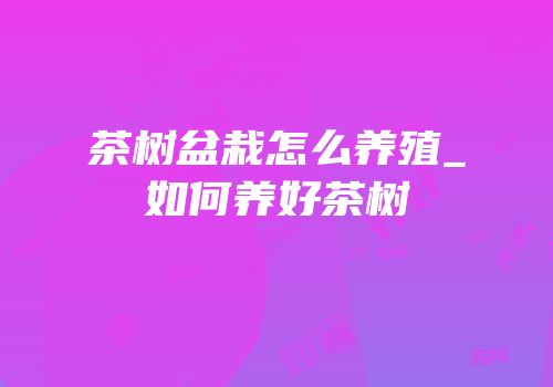 茶树盆栽怎么养殖_如何养好茶树