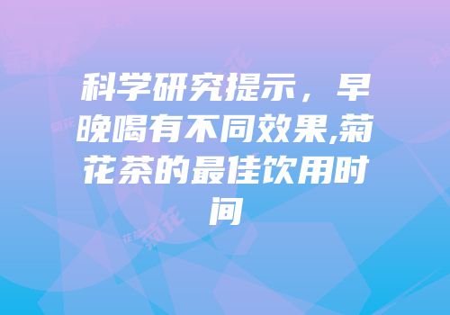 科学研究提示，早晚喝有不同效果,菊花茶的最佳饮用时间