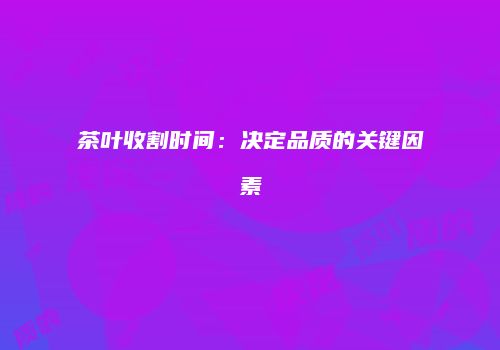 茶叶收割时间：决定品质的关键因素