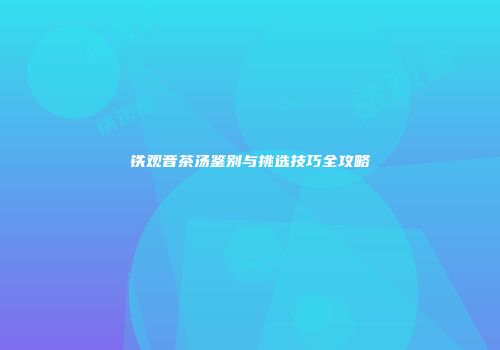 铁观音茶汤鉴别与挑选技巧全攻略
