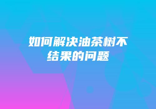 如何解决油茶树不结果的问题