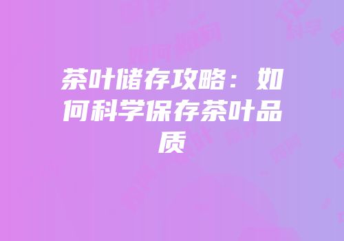 茶叶储存攻略：如何科学保存茶叶品质