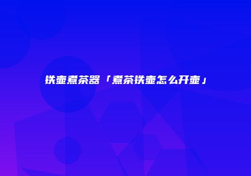 铁壶煮茶器「煮茶铁壶怎么开壶」