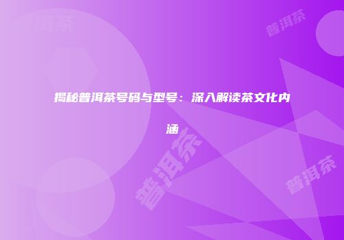揭秘普洱茶号码与型号：深入解读茶文化内涵