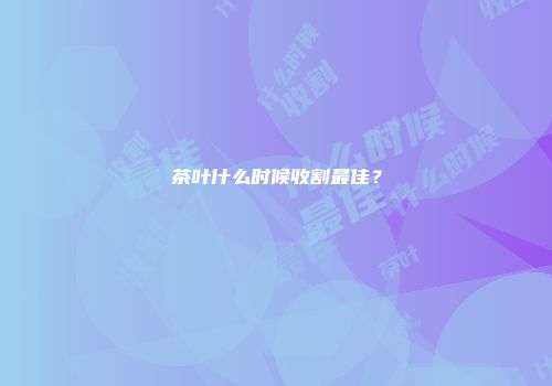 茶叶什么时候收割最佳？