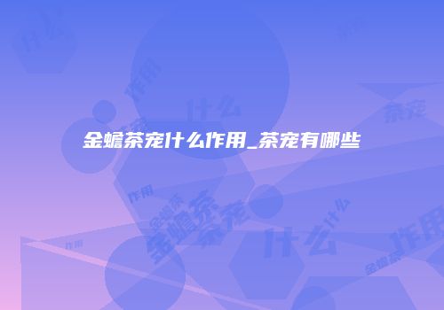 金蟾茶宠什么作用_茶宠有哪些
