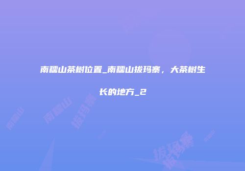 南糯山茶树位置_南糯山拔玛寨，大茶树生长的地方_2