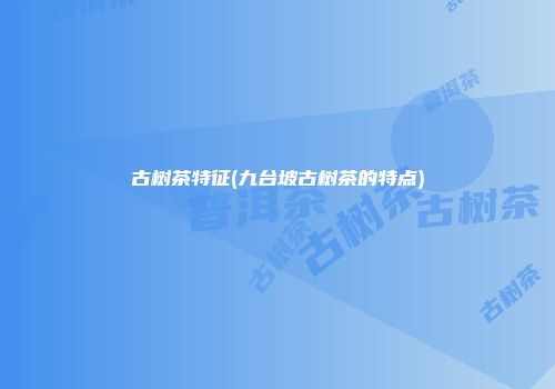 古树茶特征(九台坡古树茶的特点)