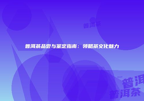 普洱茶品尝与鉴定指南：领略茶文化魅力