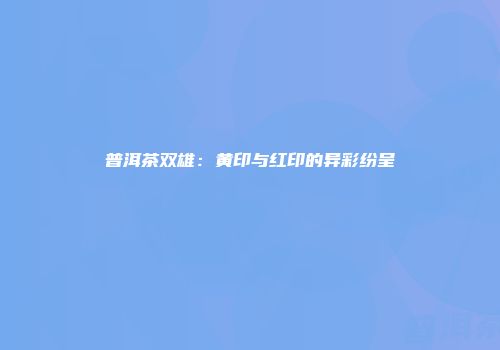 普洱茶双雄：黄印与红印的异彩纷呈