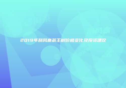 2019年刮风寨茶王树价格变化及投资建议