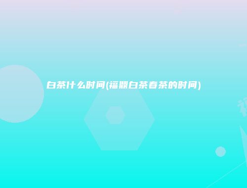 白茶什么时间(福鼎白茶春茶的时间)