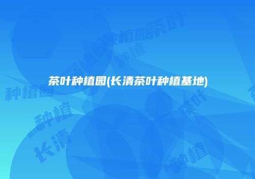 茶叶种植园(长清茶叶种植基地)