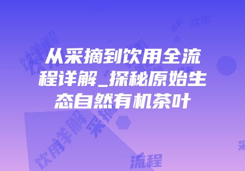 从采摘到饮用全流程详解_探秘原始生态自然有机茶叶