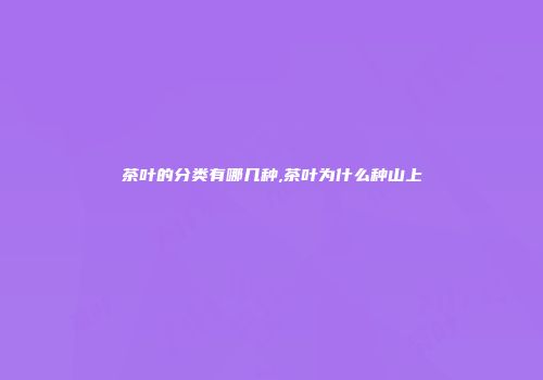 茶叶的分类有哪几种,茶叶为什么种山上
