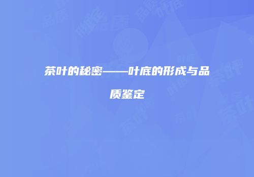 茶叶的秘密——叶底的形成与品质鉴定