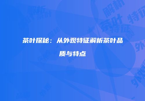 茶叶探秘：从外观特征解析茶叶品质与特点