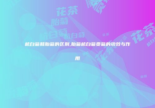 杭白菊和胎菊的区别,胎菊杭白菊贡菊的功效与作用