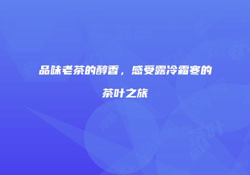品味老茶的醇香，感受露冷霜寒的茶叶之旅