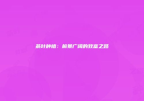 茶叶种植：前景广阔的致富之路