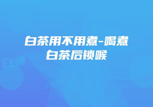 白茶用不用煮-喝煮白茶后锁喉