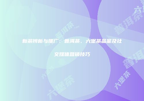 新茶辨析与推广：普洱茶、六堡茶品鉴及社交媒体营销技巧