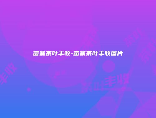 苗寨茶叶丰收-苗寨茶叶丰收图片