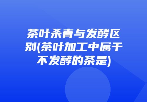茶叶杀青与发酵区别(茶叶加工中属于不发酵的茶是)
