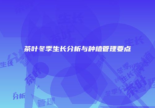 茶叶冬季生长分析与种植管理要点