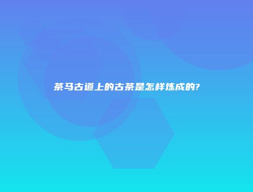 茶马古道上的古茶是怎样炼成的?