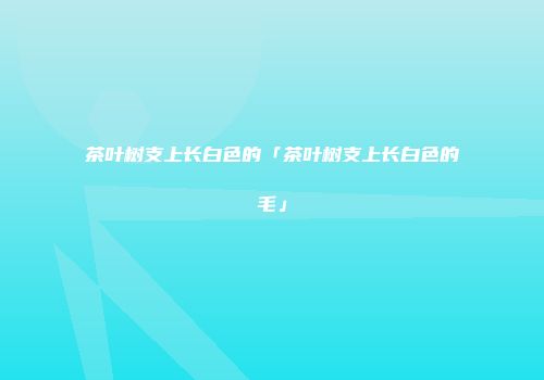 茶叶树支上长白色的「茶叶树支上长白色的毛」