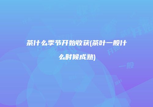 茶什么季节开始收获(茶叶一般什么时候成熟)