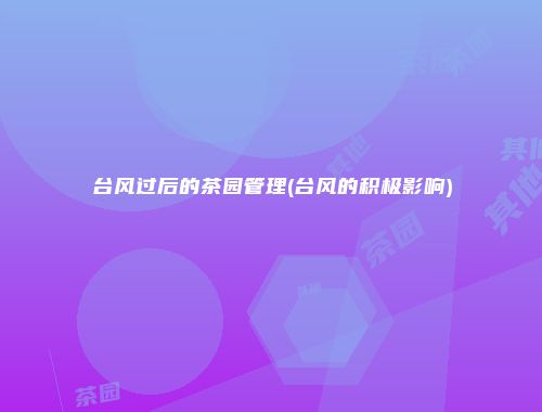 台风过后的茶园管理(台风的积极影响)
