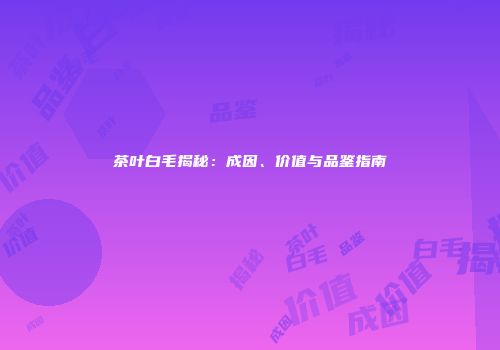茶叶白毛揭秘：成因、价值与品鉴指南